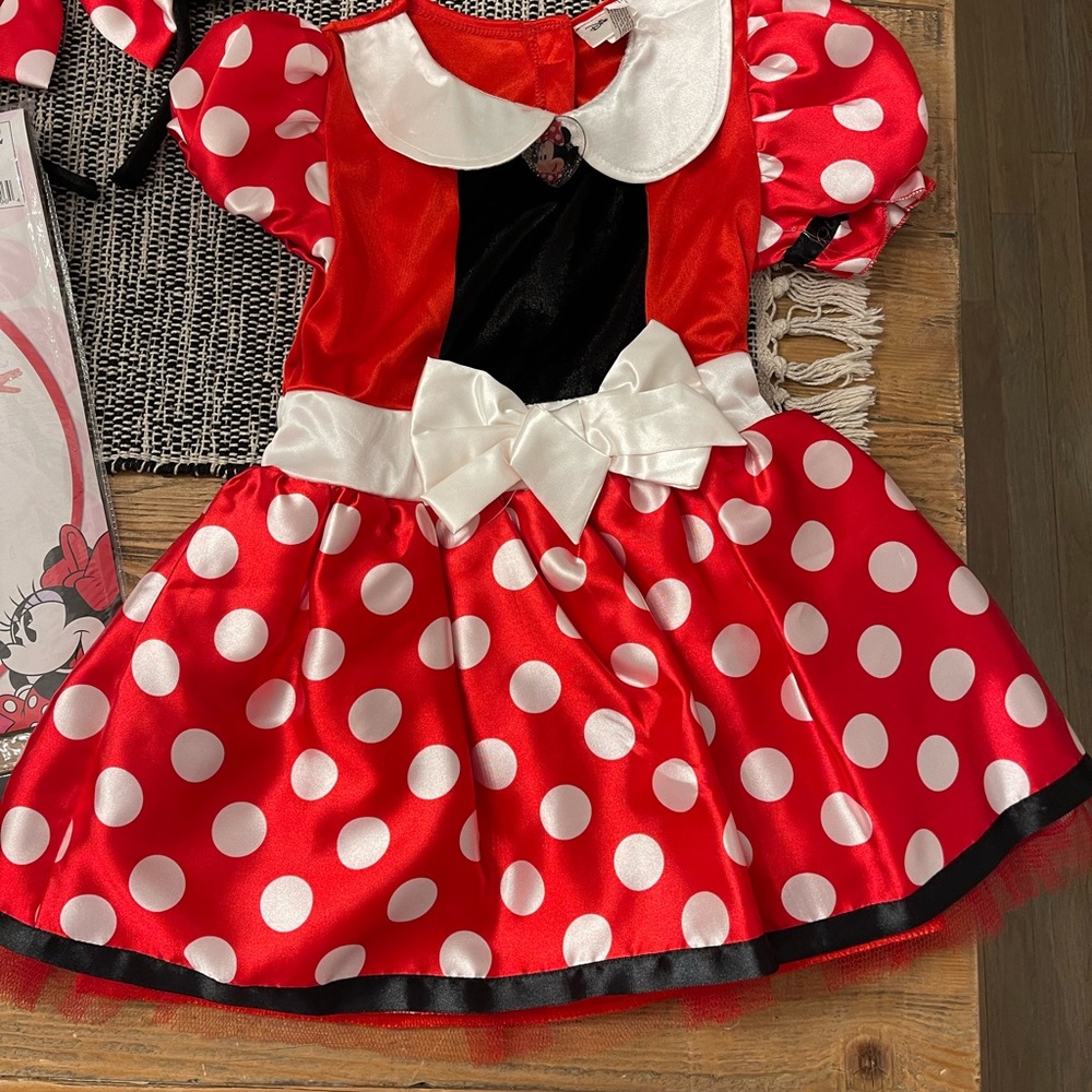 Minnie Mouse Halloween Costume